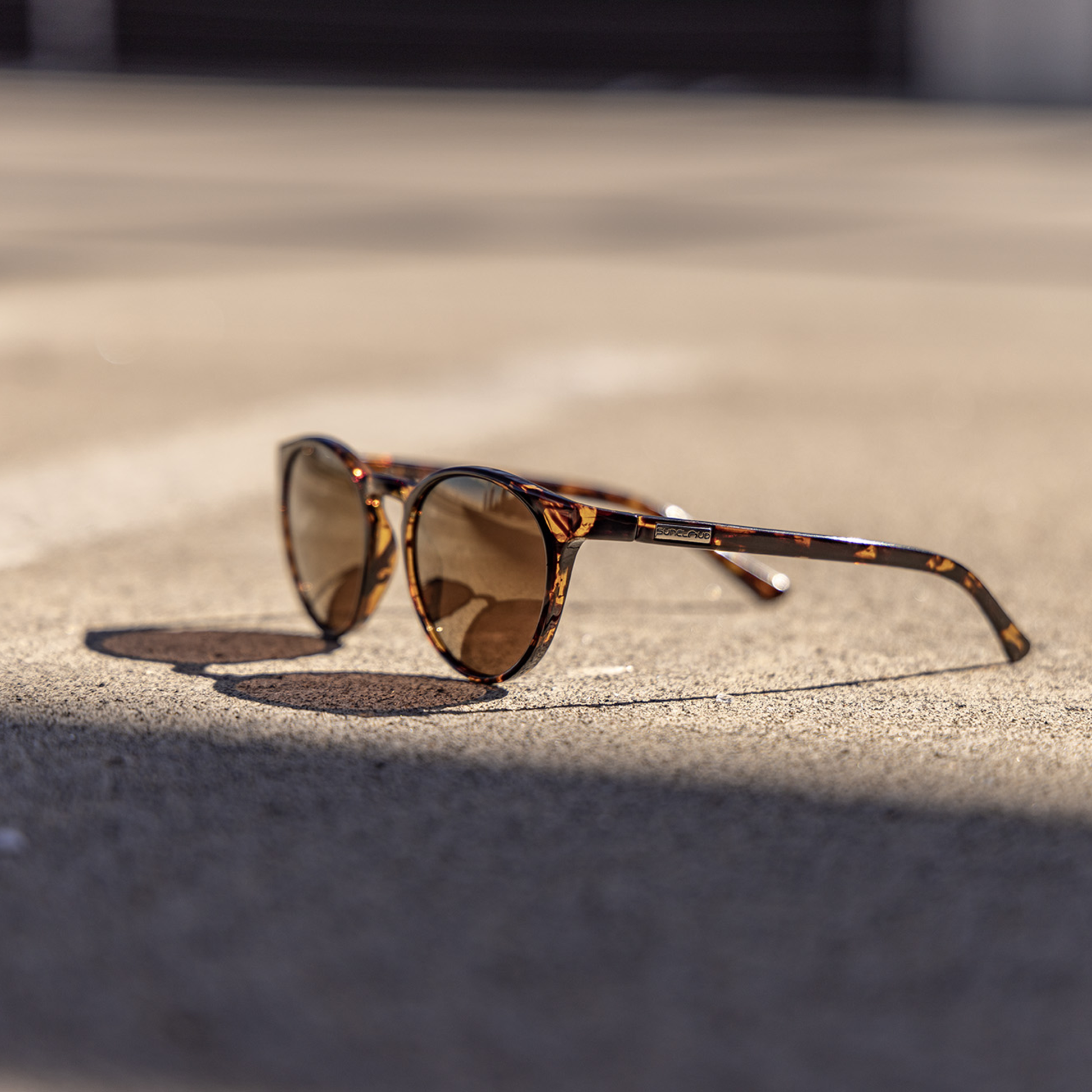 Lowkey, Tortoise + Polarized Brown  Lens