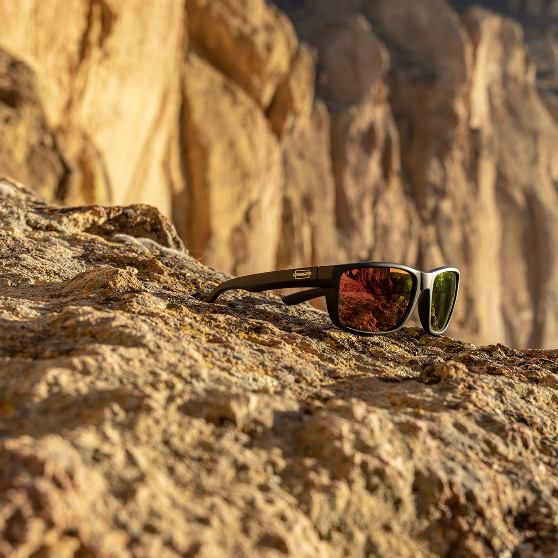 Mayor, Tortoise + Polarized Green Mirror Lens