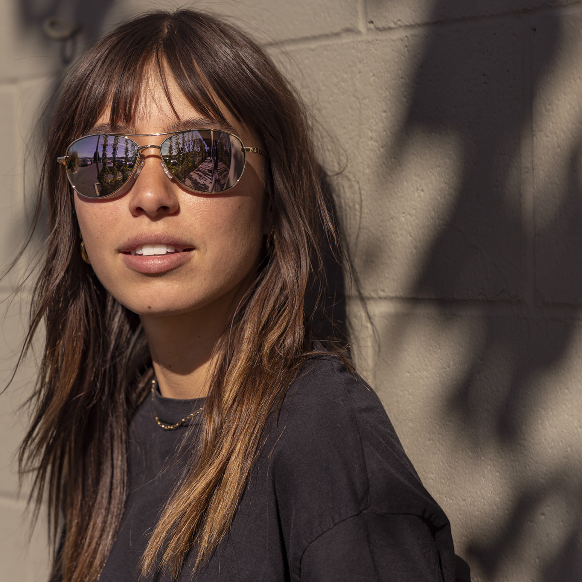 Patrol, Gold + Polarized Brown  Lens