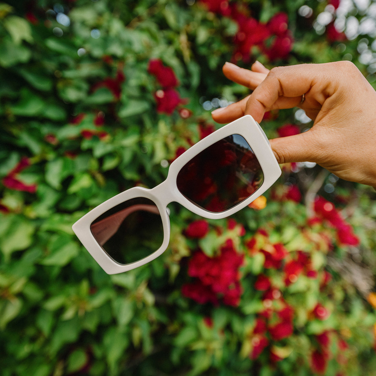 Astoria, Black + Polarized Gray Green Lens