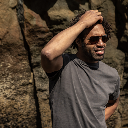 Aviator, Silver + Polarized Gray  Lens