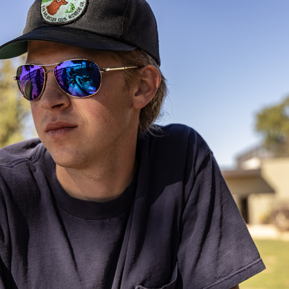 Aviator, Silver + Polarized Gray  Lens