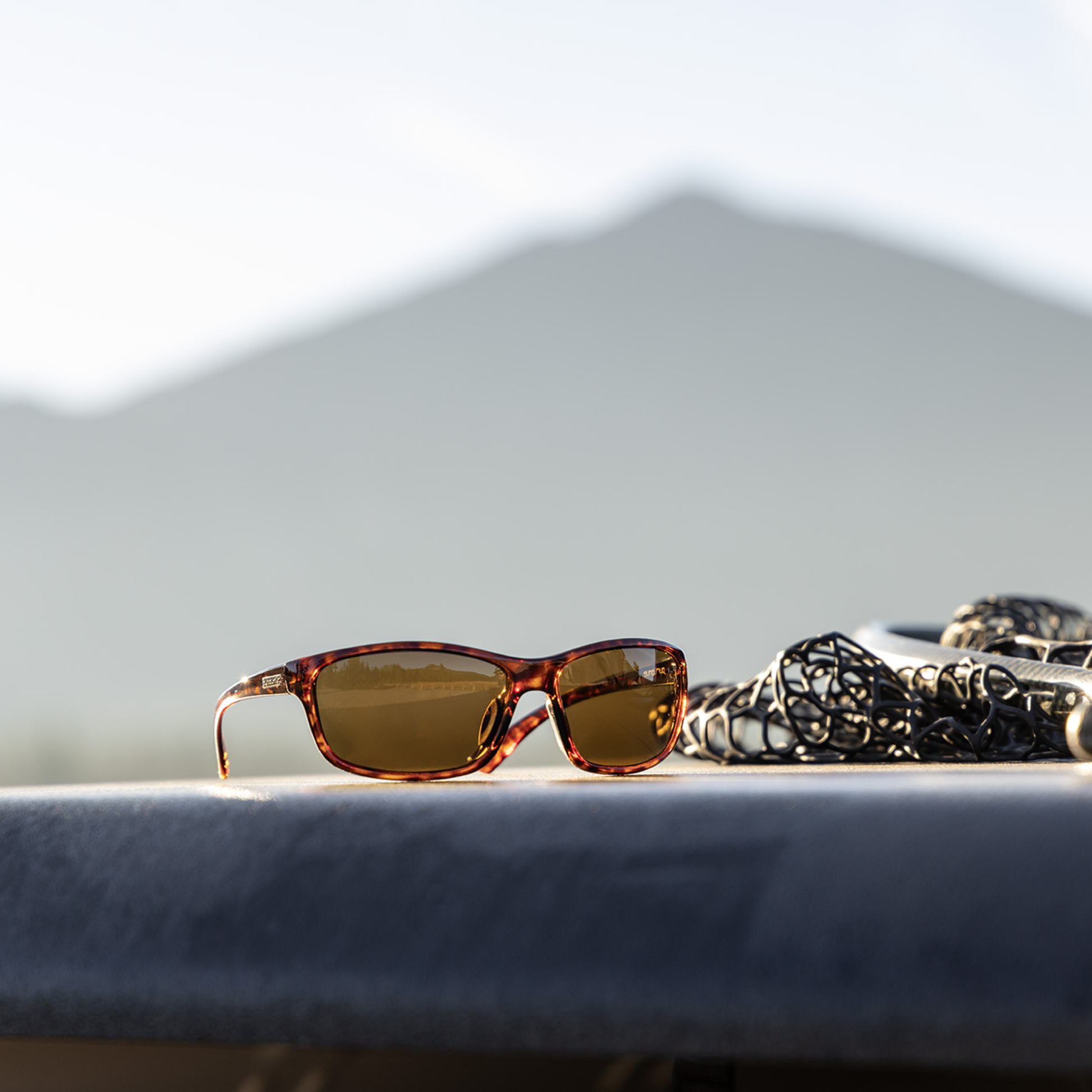 Sentry, Black + Polarized Gray  Lens