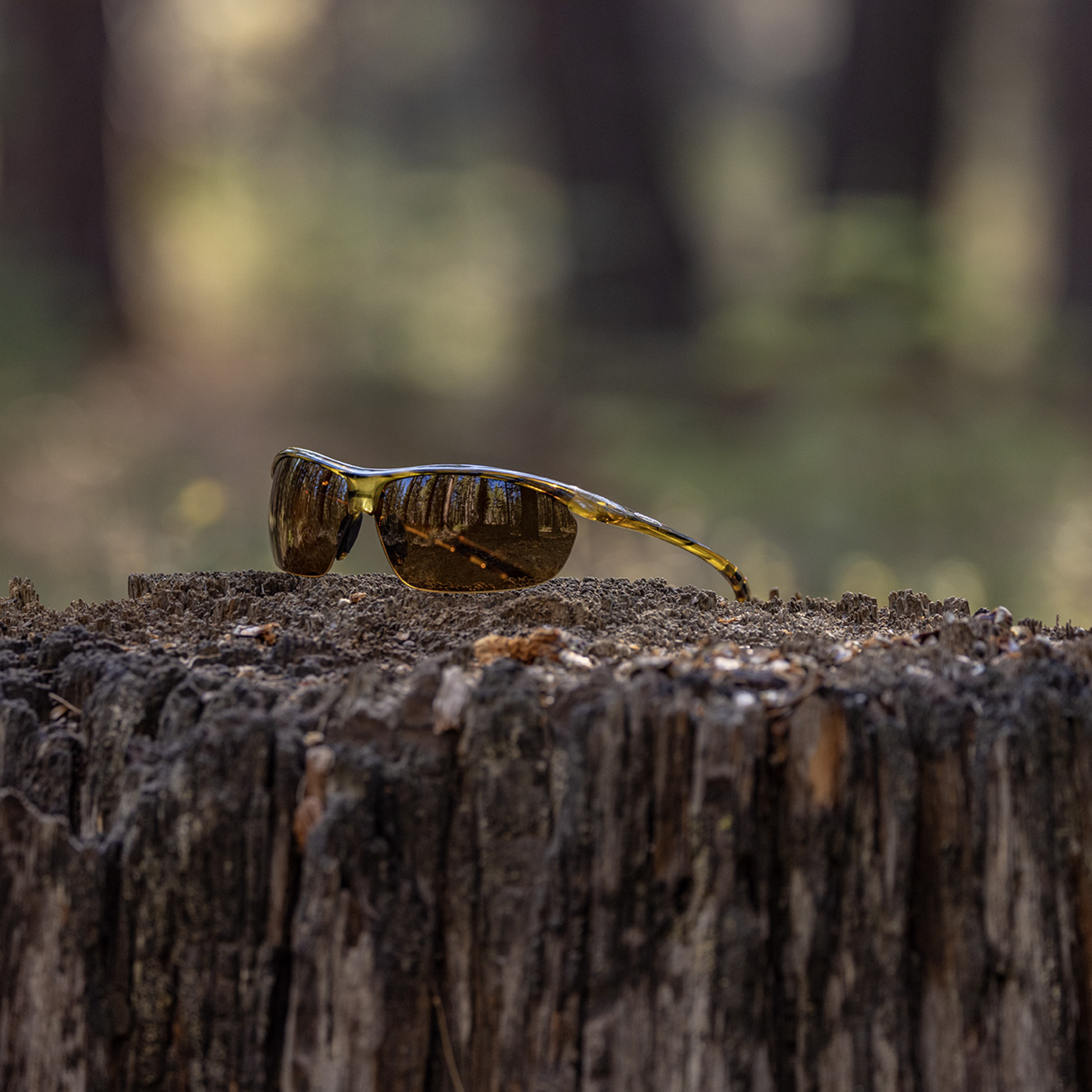 Zephyr, Tortoise + Polarized Brown  Lens