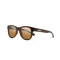 Leeway, Matte Burnished Brown + Polarized Brown Lens, hi-res
