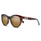 Cityscape, Tortoise Polarized Brown Lens, hi-res