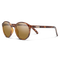 Lowkey, Tortoise + Polarized Brown Lens, hi-res