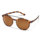 Belmont, Tortoise + Polarized Brown Lens, hi-res