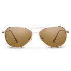 Patrol, Gold + Polarized Brown Lens, hi-res